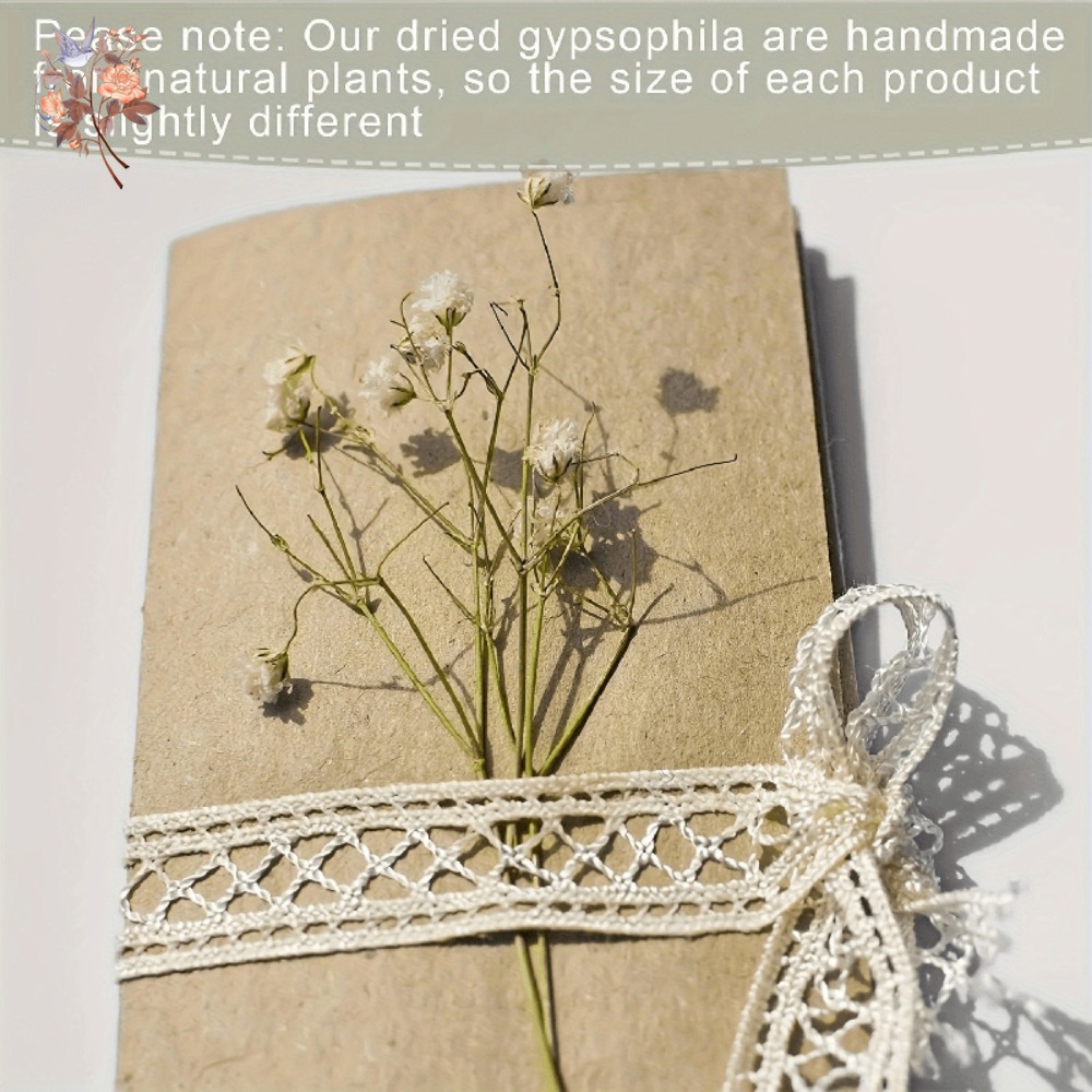 100個入りミニドライカスミソウ、レジン工芸DIY、家の装飾 - Craft Embellishment のレビューと価格